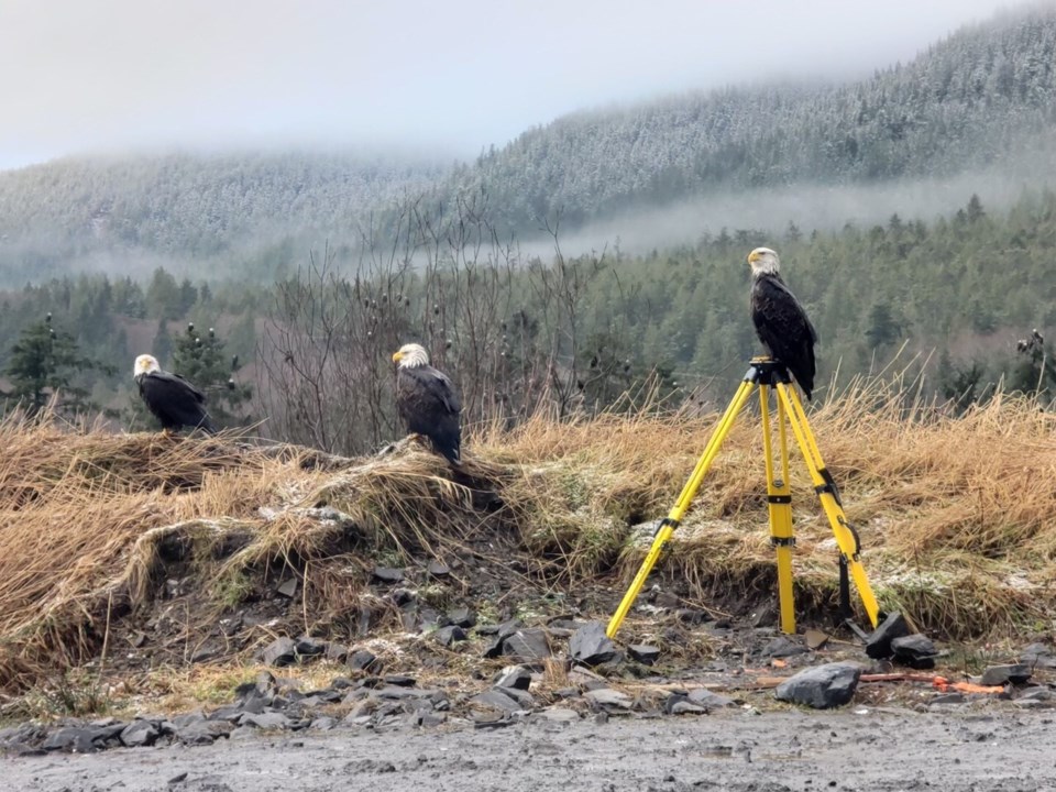 eagersinprincerupert