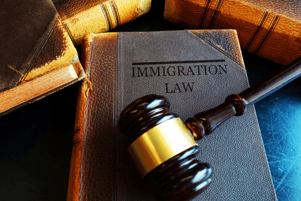 lawyerimmigration