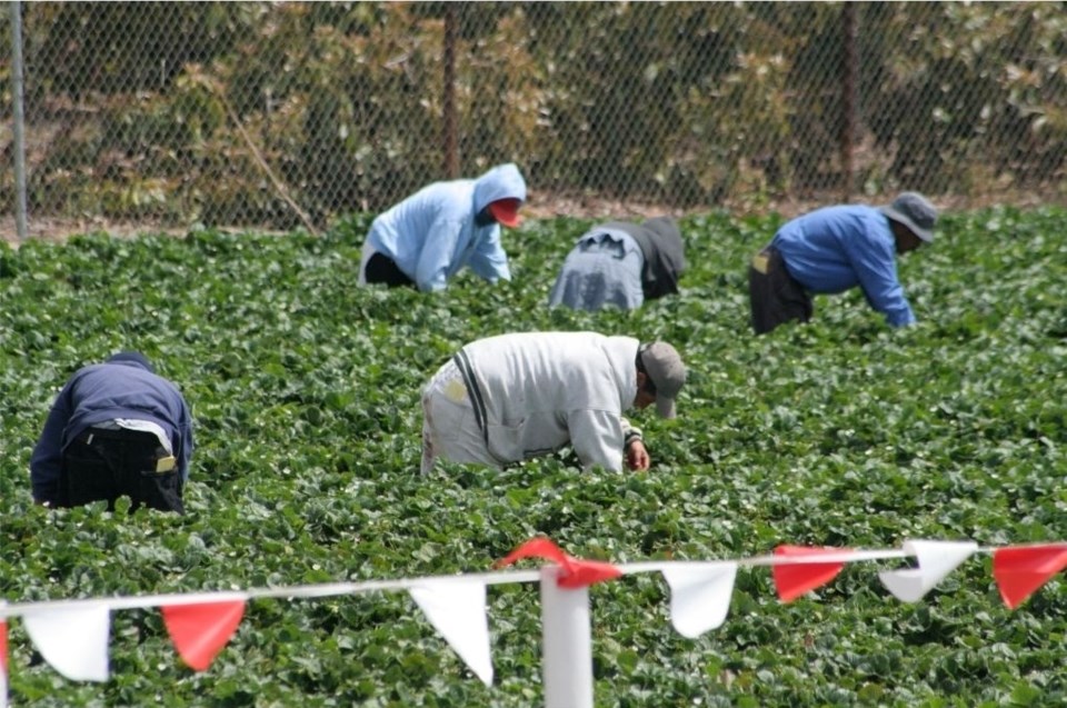 Migrant-workers