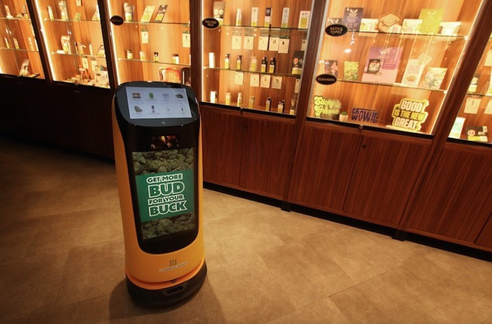  The robot at Seed and Stone is intended to engage customers while budtenders are busy helping others.