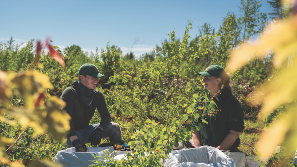 smartforestplanters