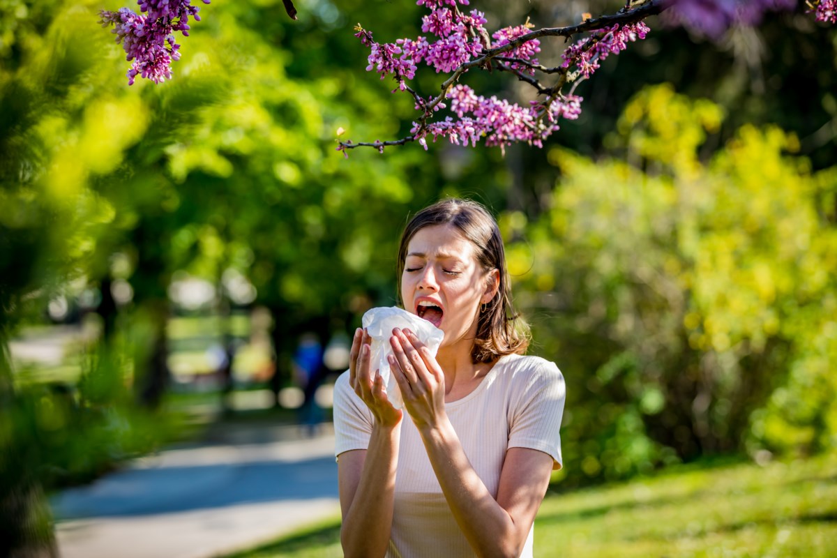 Do I have COVID-19 or is it just allergies? - Powell River Peak