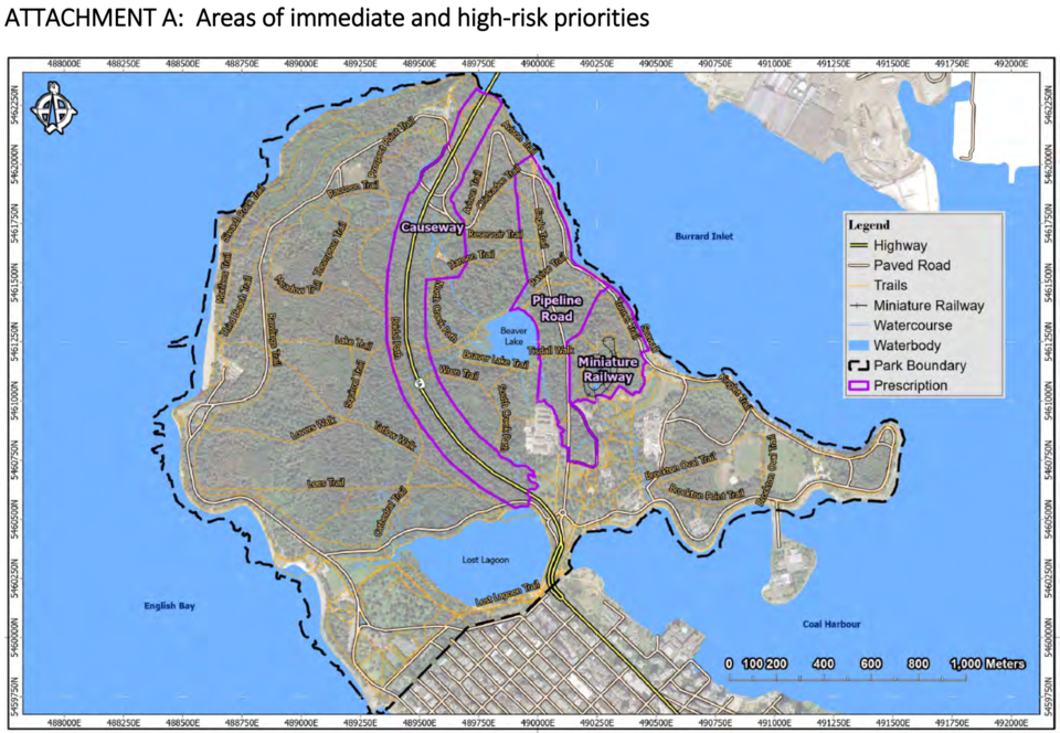 stanleyparklogging