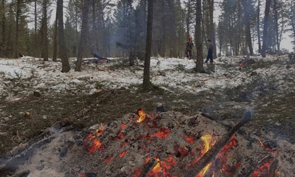 wildfirebc11
