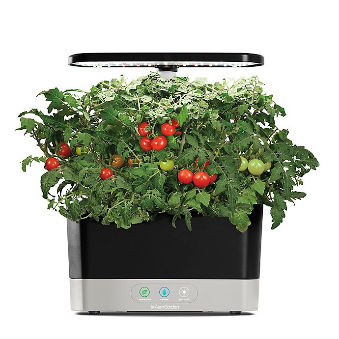 Aerogarden in black. 