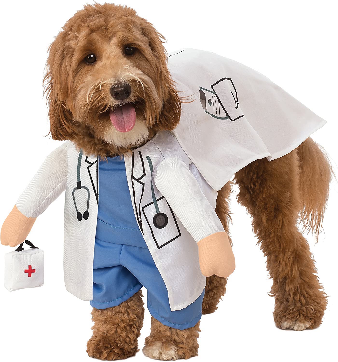 Dog doctor costume. 