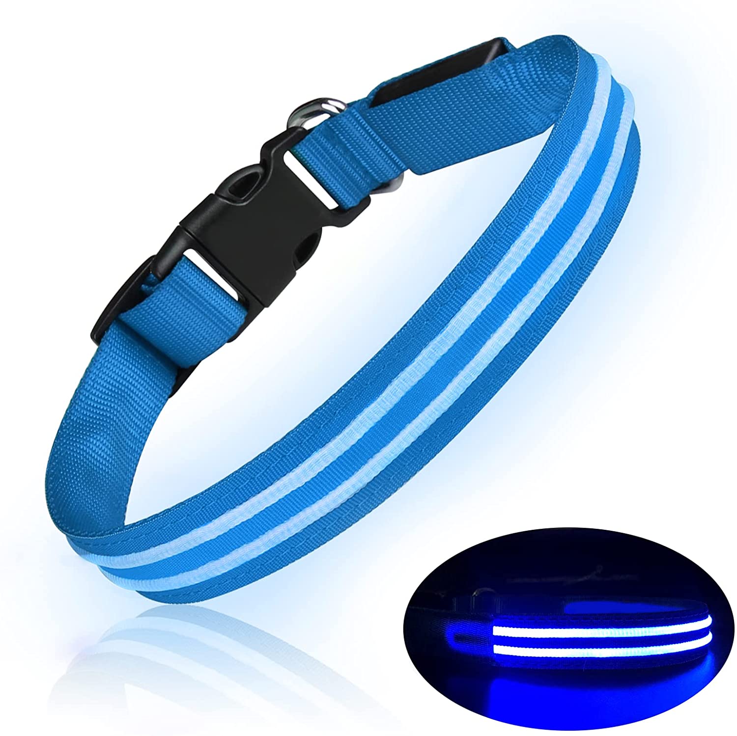 LED leash. 