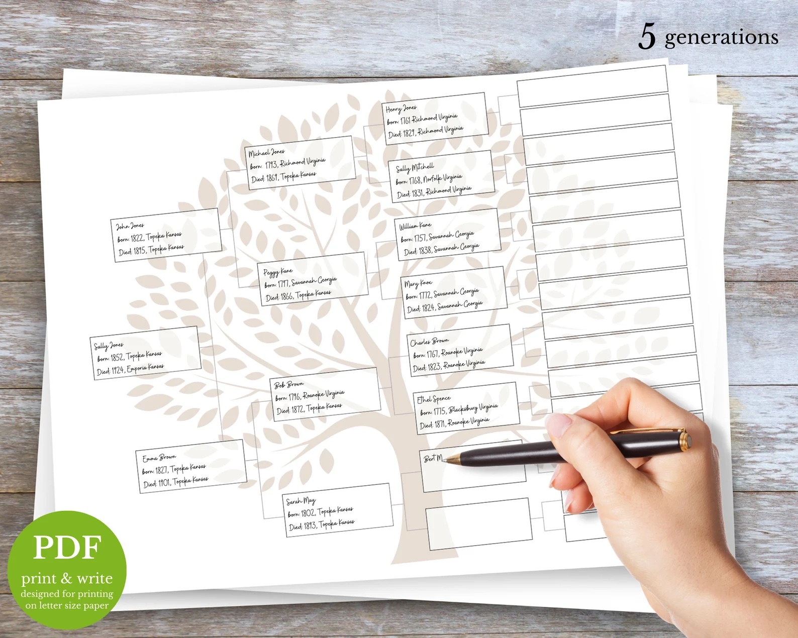 DIY family tree