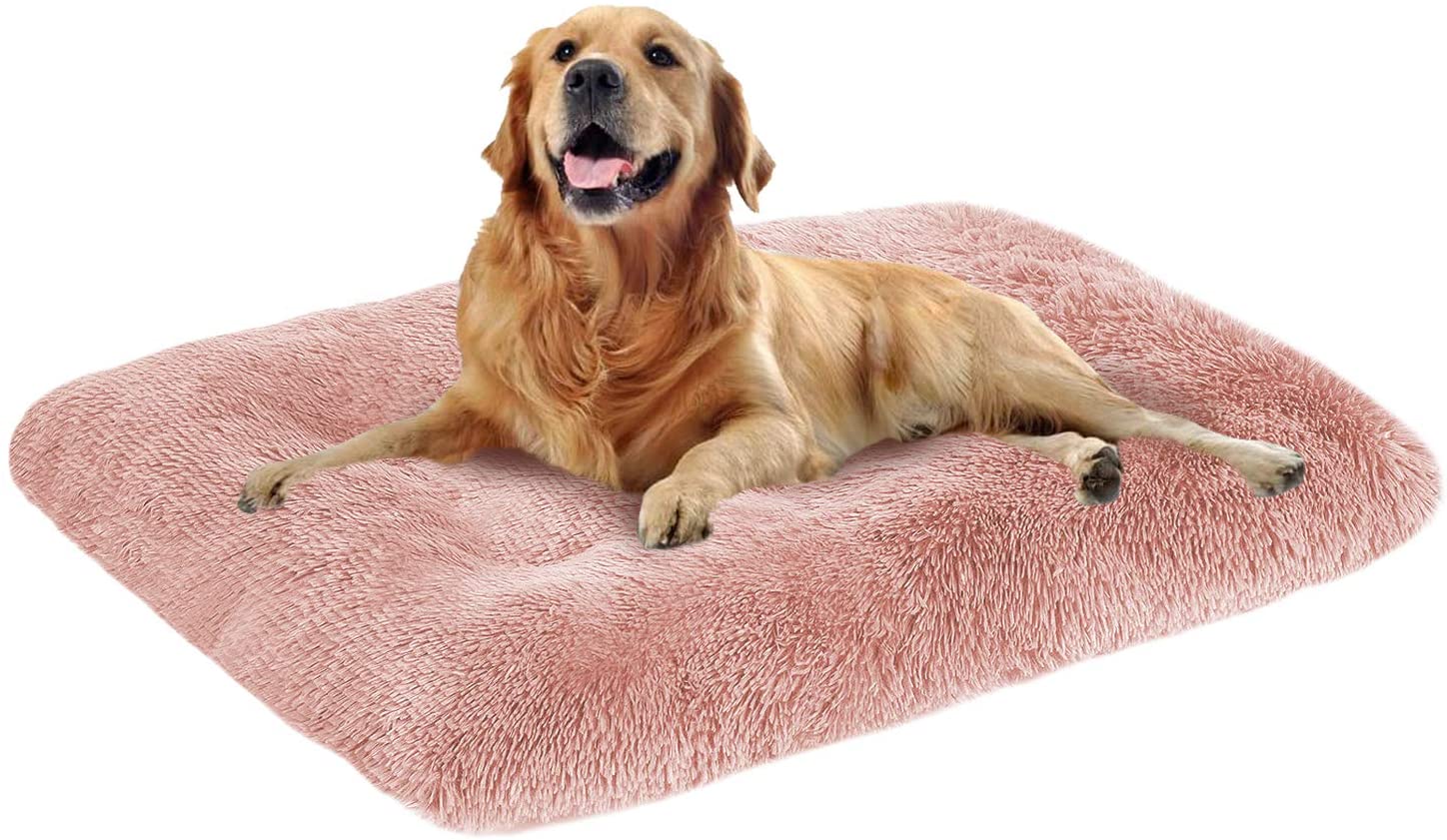 OXS dog bed.