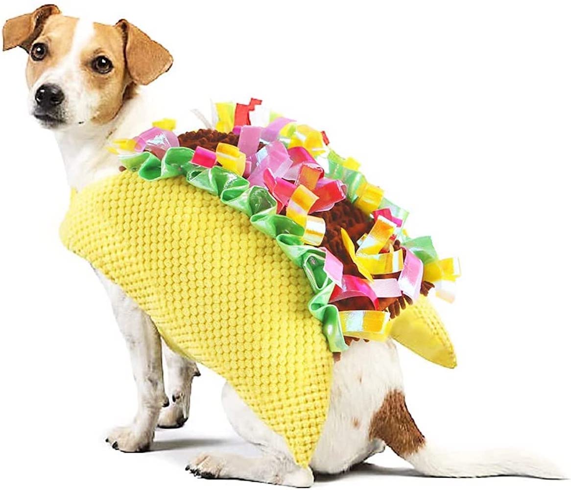 Taco costume