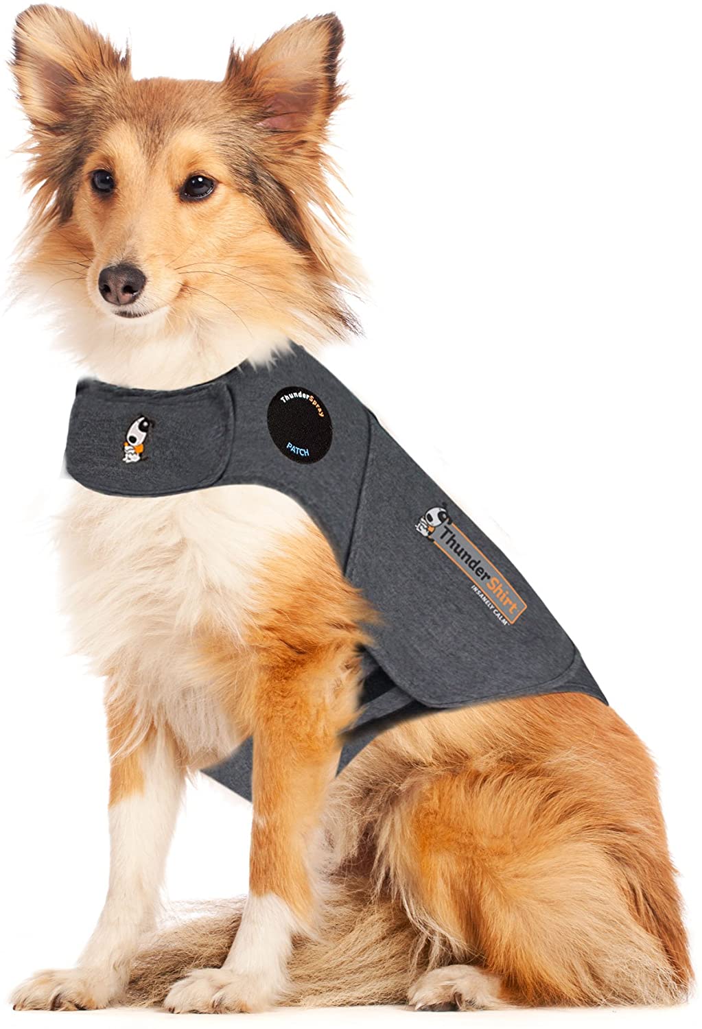 ThunderShirt dog vest. 