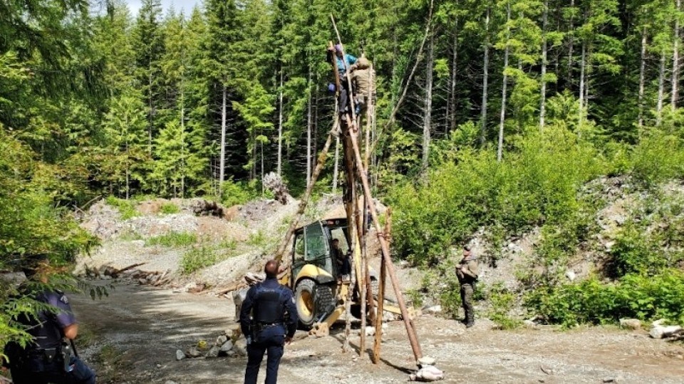 fairycreeklogging