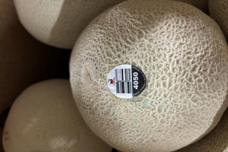 cantaloupes-recalled