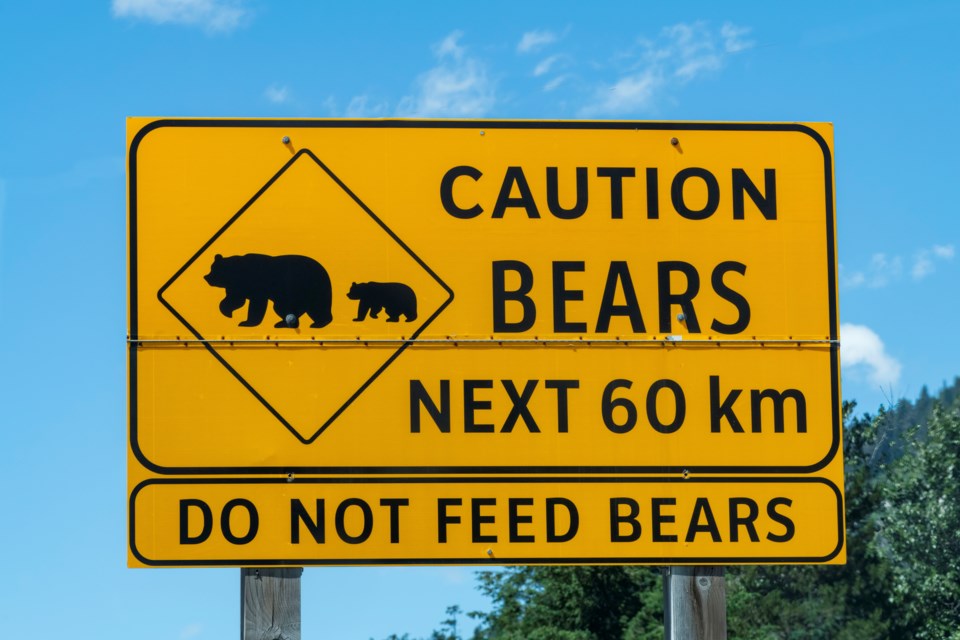 beardontfeed