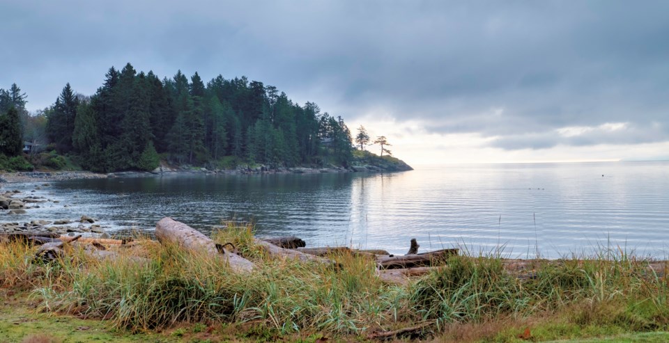 brewbaynearpowellriver