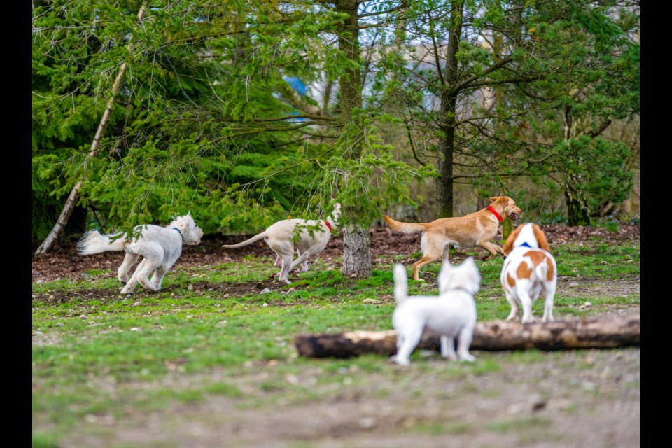 Ellie’s Tip of the Day: Dogs, flower beds, grassy landscape and park benches are all potential “public” meeting places when looking for “The One.”