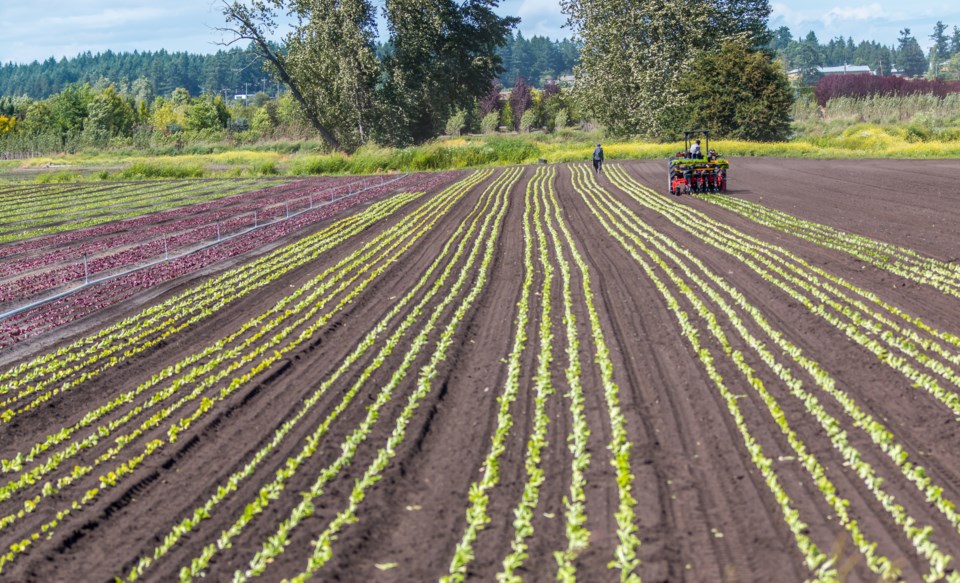 farmingdrought