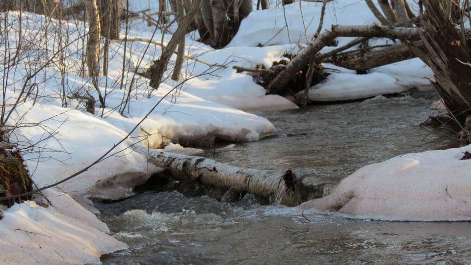freshet