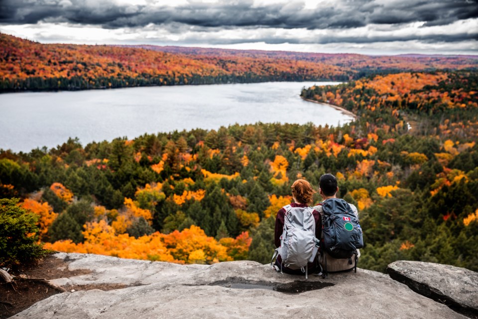 After a partner’s death, loneliness can become stifling. Get proactive to connect with friends/activities.