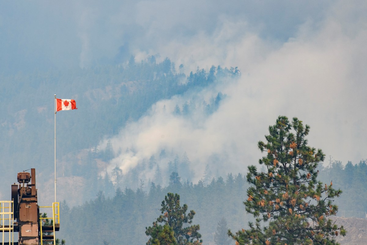 Opinion: Canadian cities are unprepared for climate-driven migration. Here's what they can do