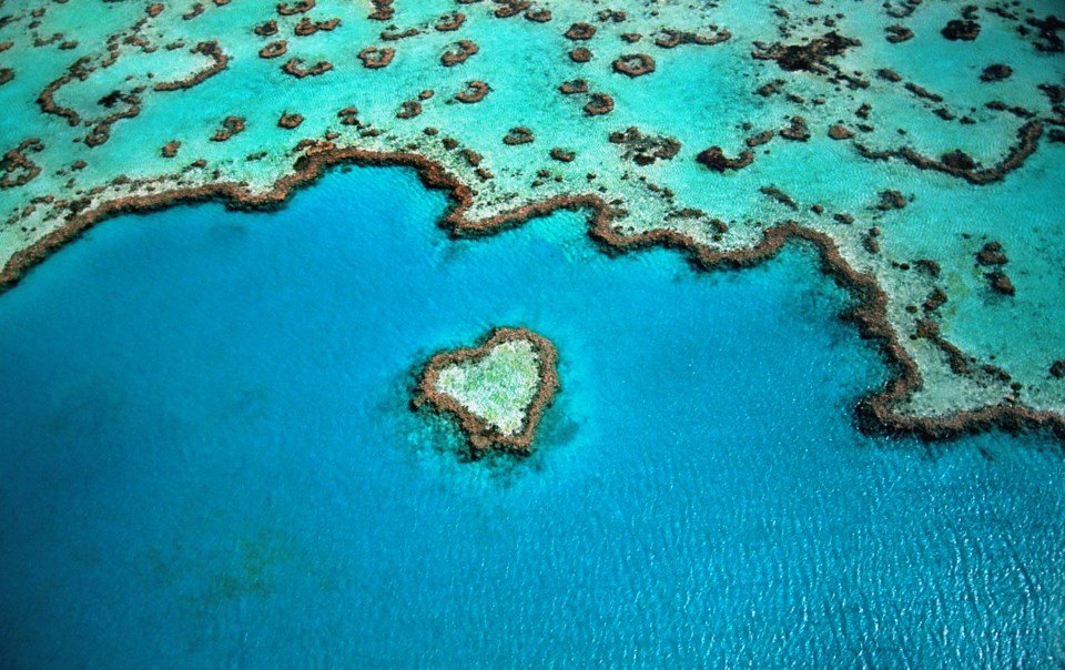 great barrier reef