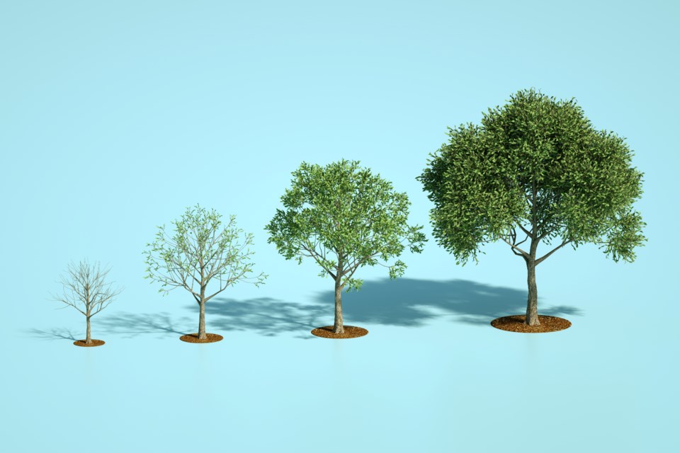 growingtrees