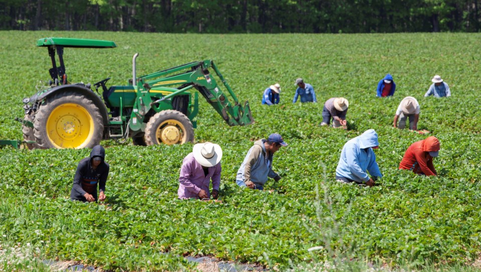migrantworkersincanada