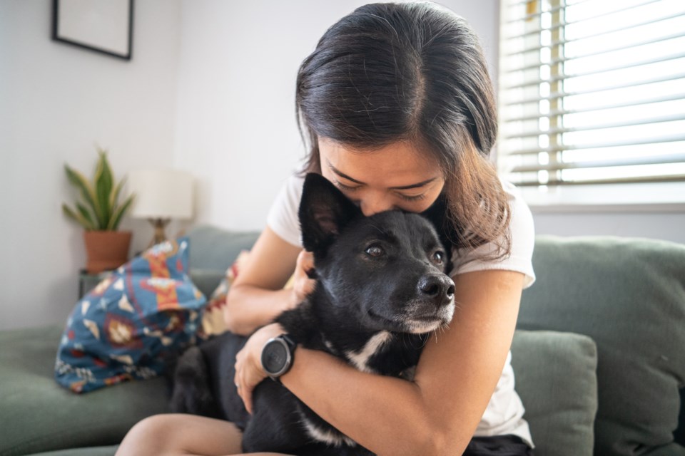 The top-trending food-inspired names for dogs in Canada this year were Burrito, Gravy, Mint, Kimchi and Kitkat. Donut for cats.