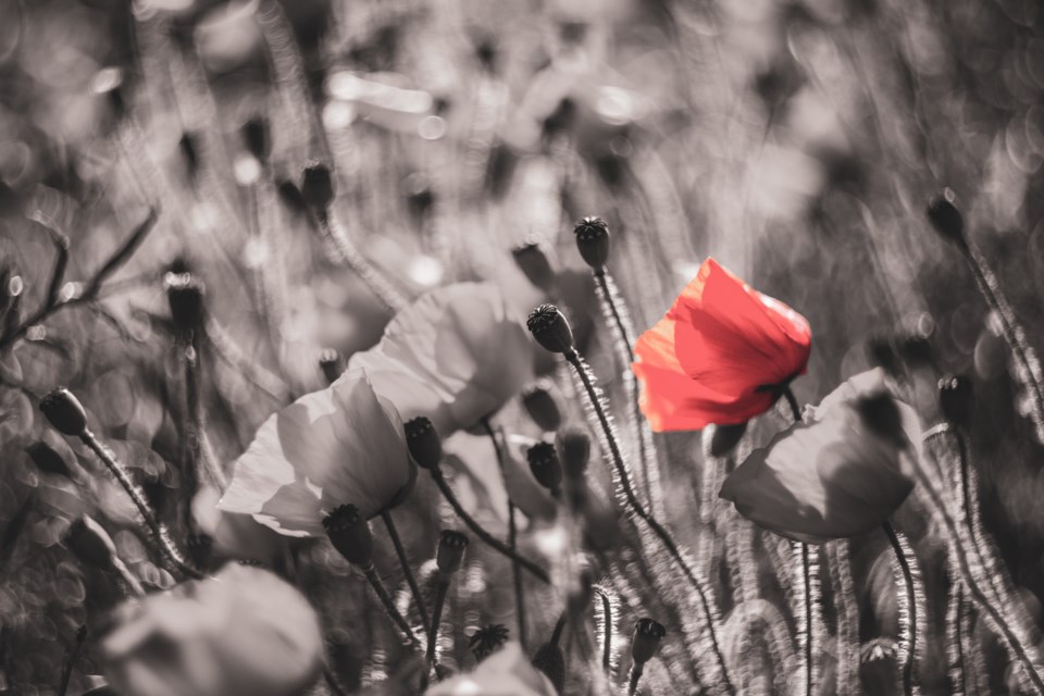 Vancouver First World War soldier's remains identified - Vancouver Is  Awesome