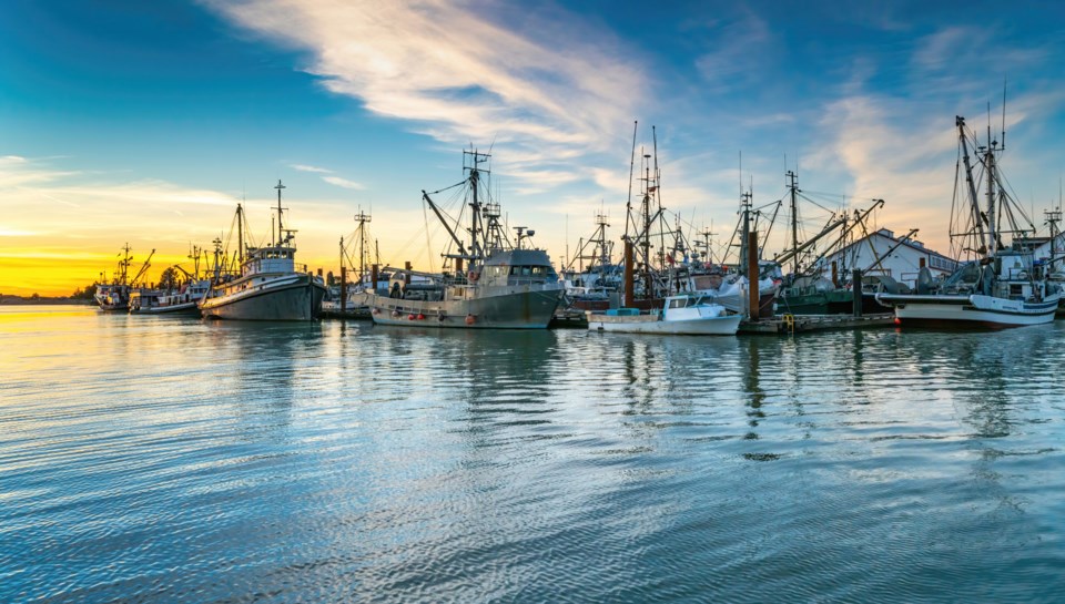 stevestonboats