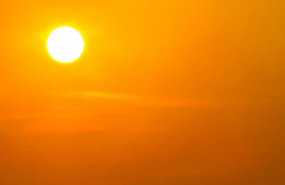 suncanva