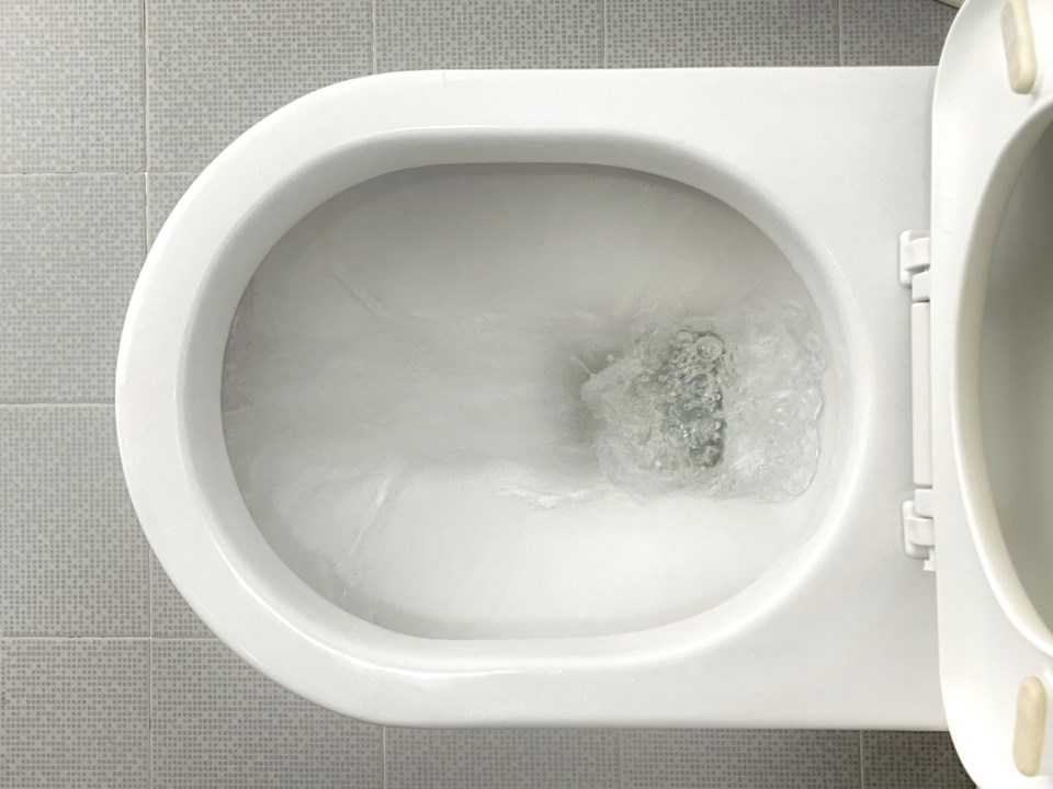 toiletflushing