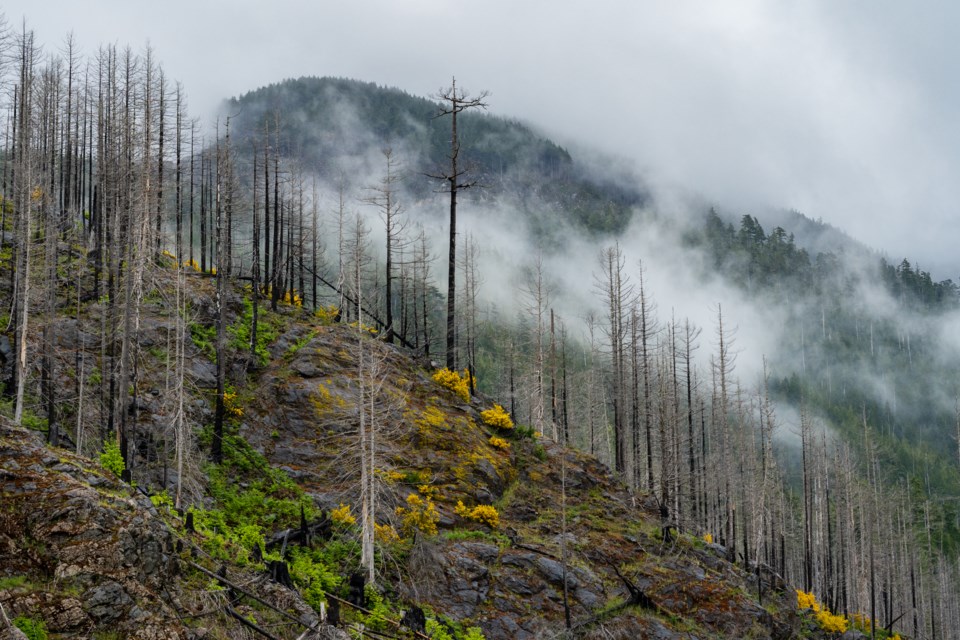 wildfirebritishcolumbia