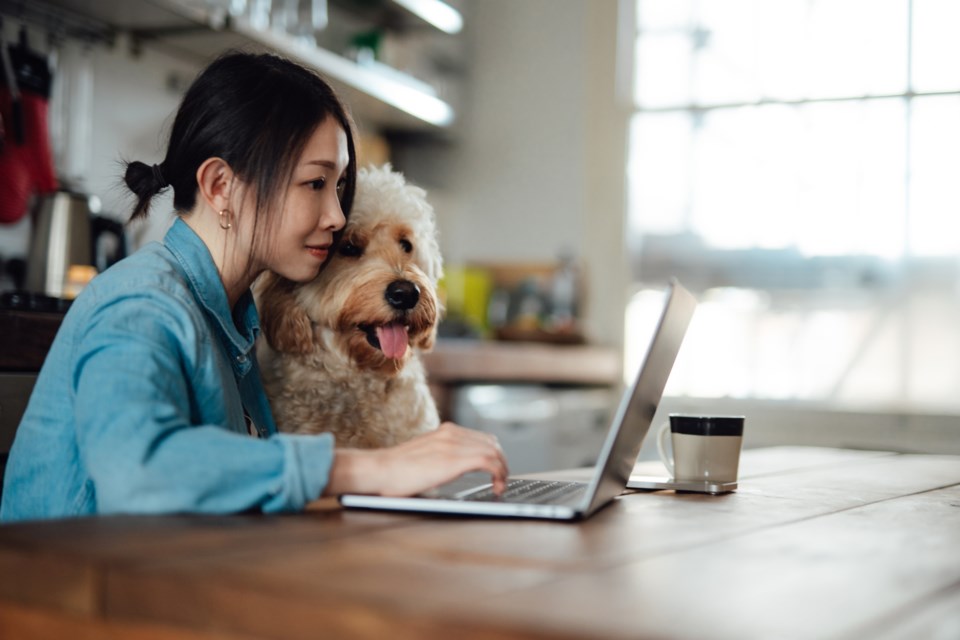 womandogsearchingoncomputer