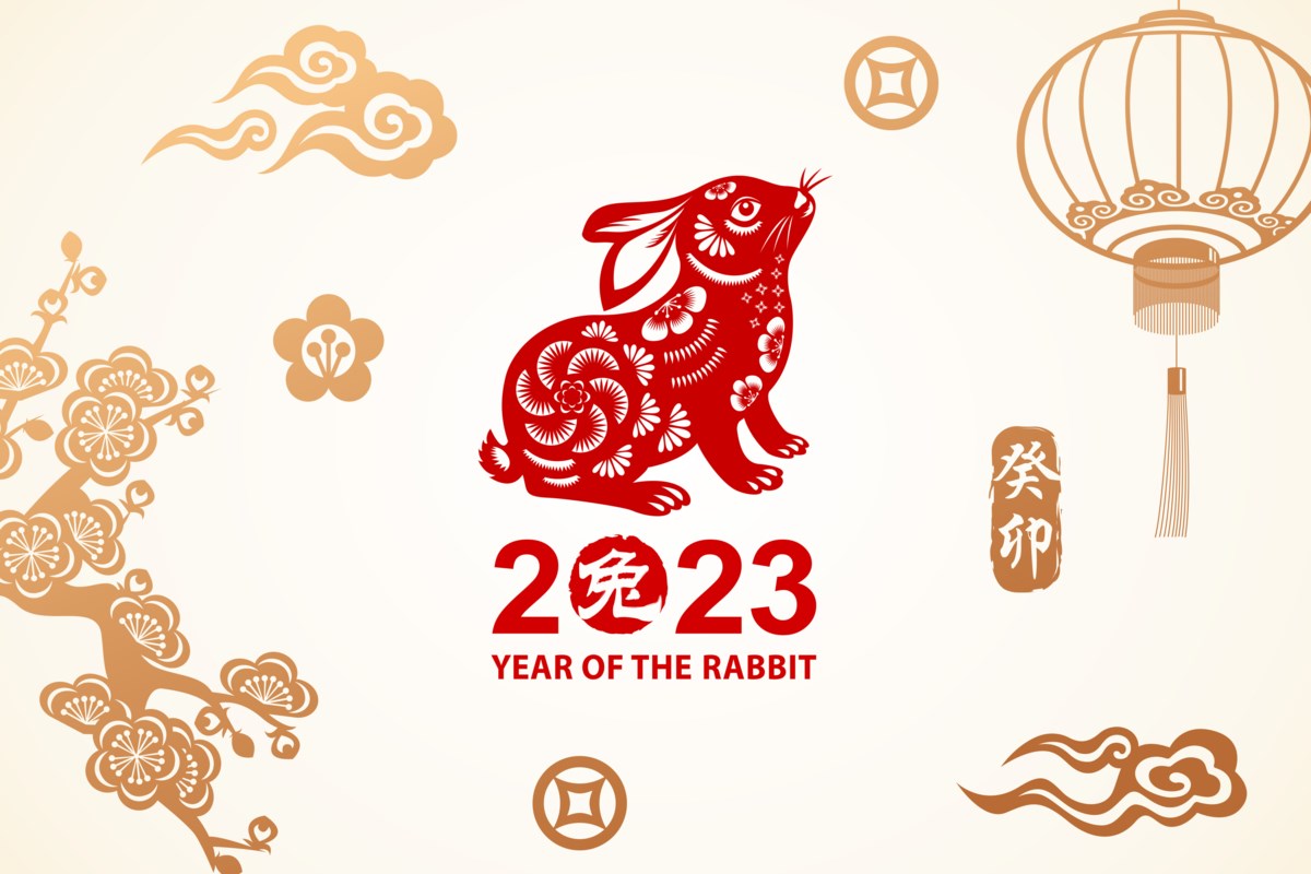 Steam chinese new year sale фото 85