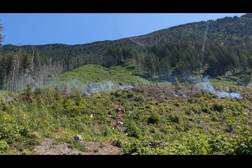 Firefighters are at a wildfire burning east of Harrison Lake.