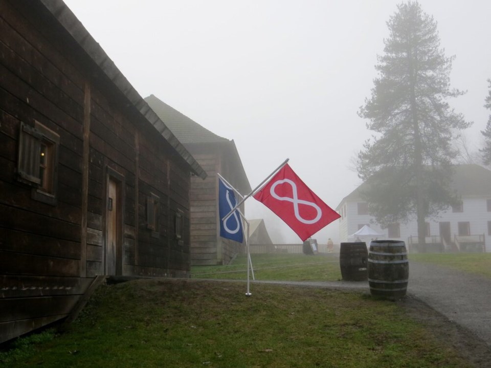 Metis flag