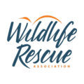 Wildlife Rescue Association of BC