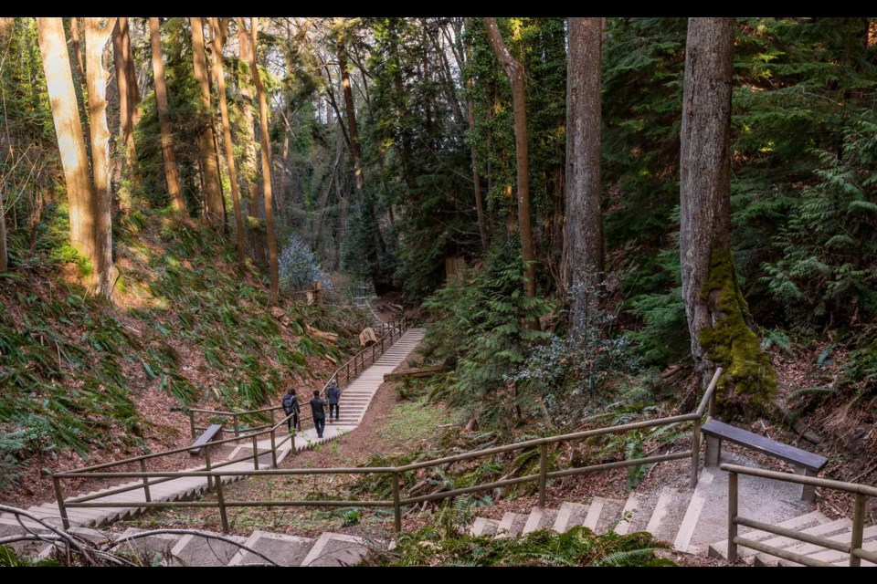 Pacific Spirit Regional Park at the University of British Columbia.