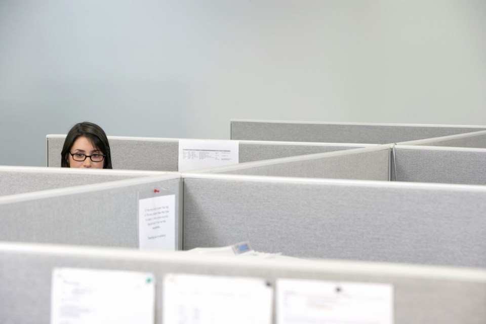 cubicleworker