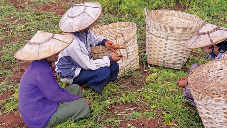 1315-asiapacific-workers-web