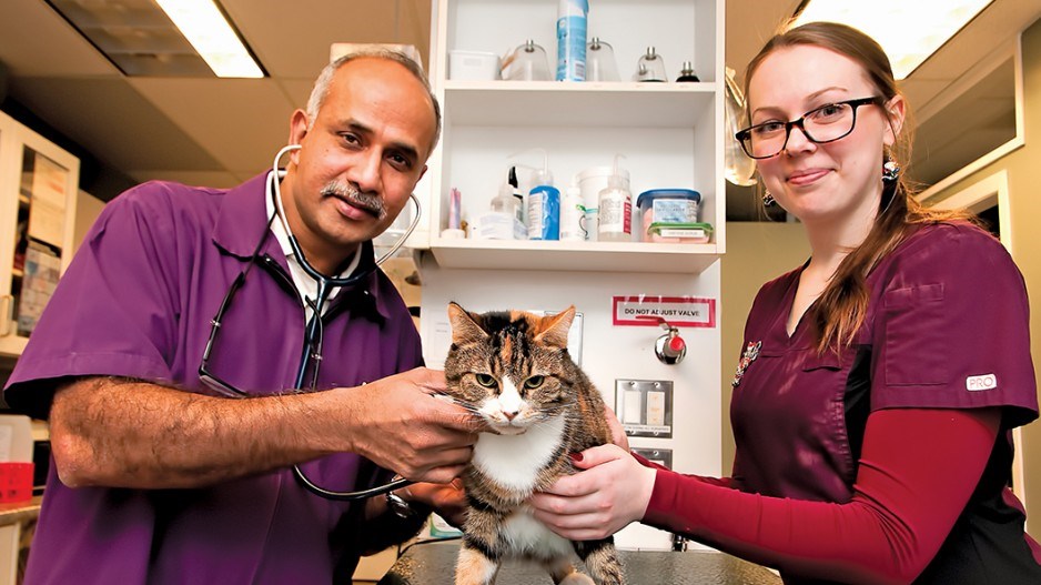 1368-surrey-veterinarians-web
