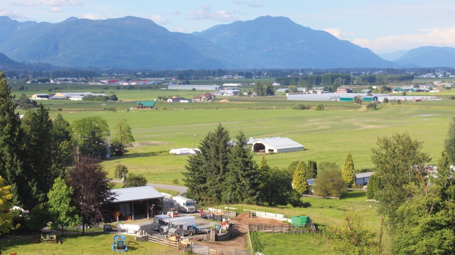 1399-col-mitham-abbotsford-web
