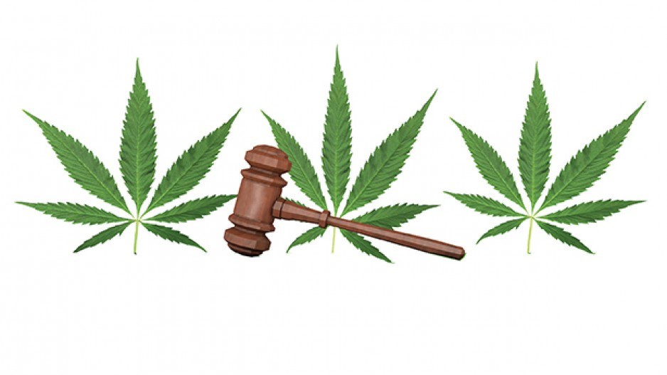 1440-bizlaw-cannabis-web