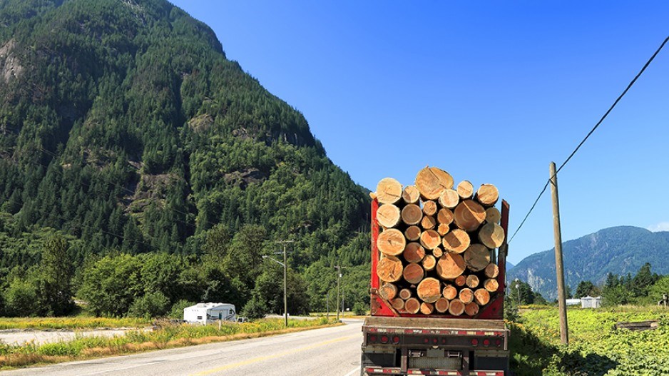 1490-liststory-forestry-web-1490-liststory-forestry-web-protasovan-shutterstock