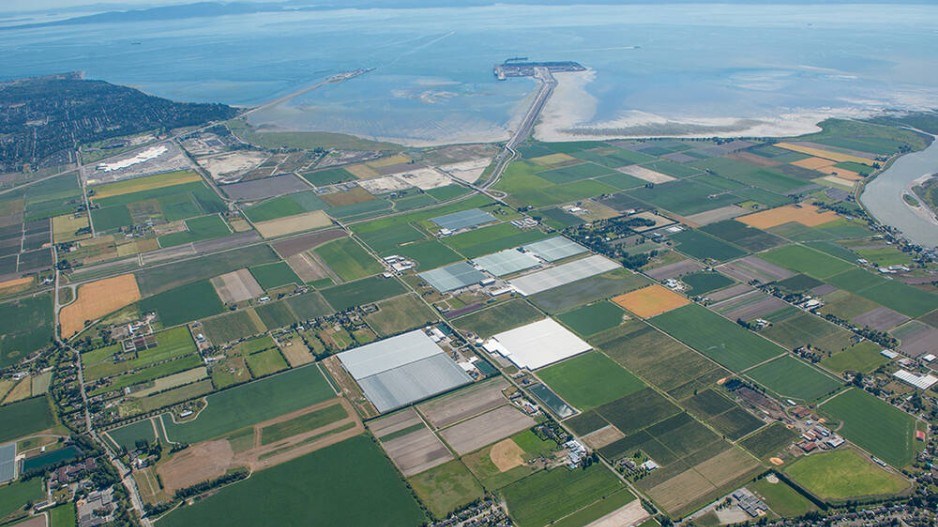 aerial-shot-deltaport-container-terminalcreditvfpa