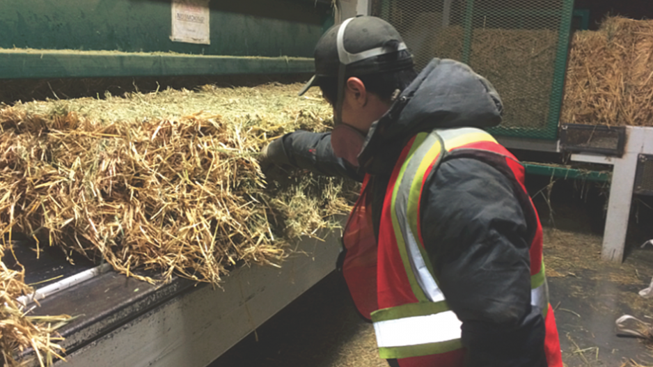 baling_alfalfa_at_tophay_agri-industries_credit_tophay_agri-industries