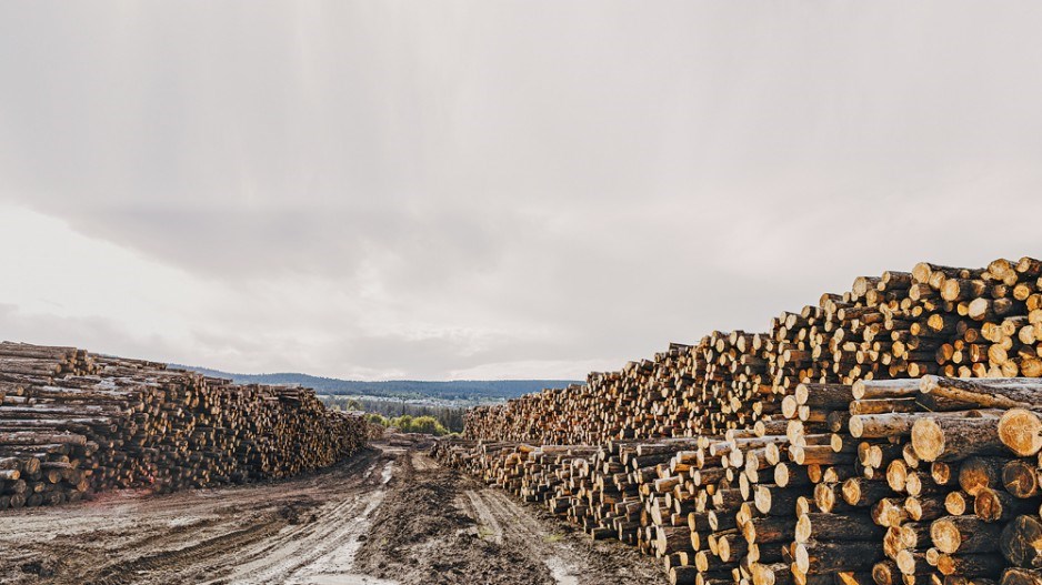 bc-logs-davingphotography-moment-gettyimages