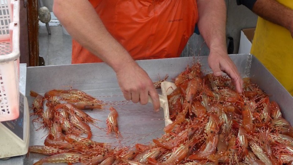 bc-spot-prawns-chefs-table-society-facebook