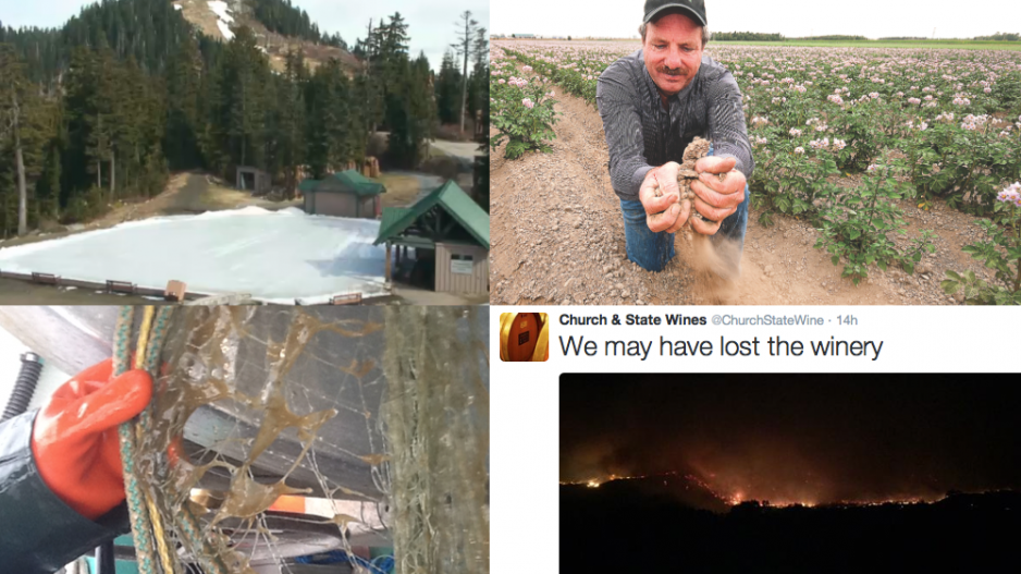 bc_climate_change_composite_2